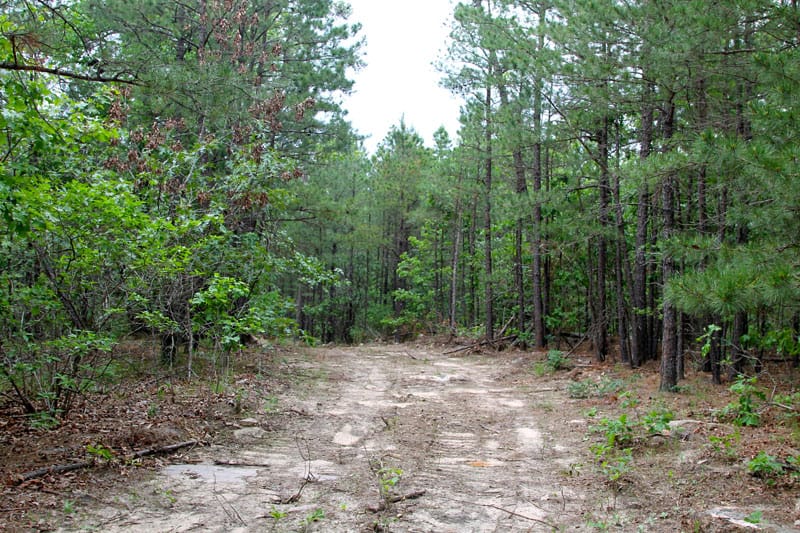Trophy Ridge Phase II Tract 92 photo 1
