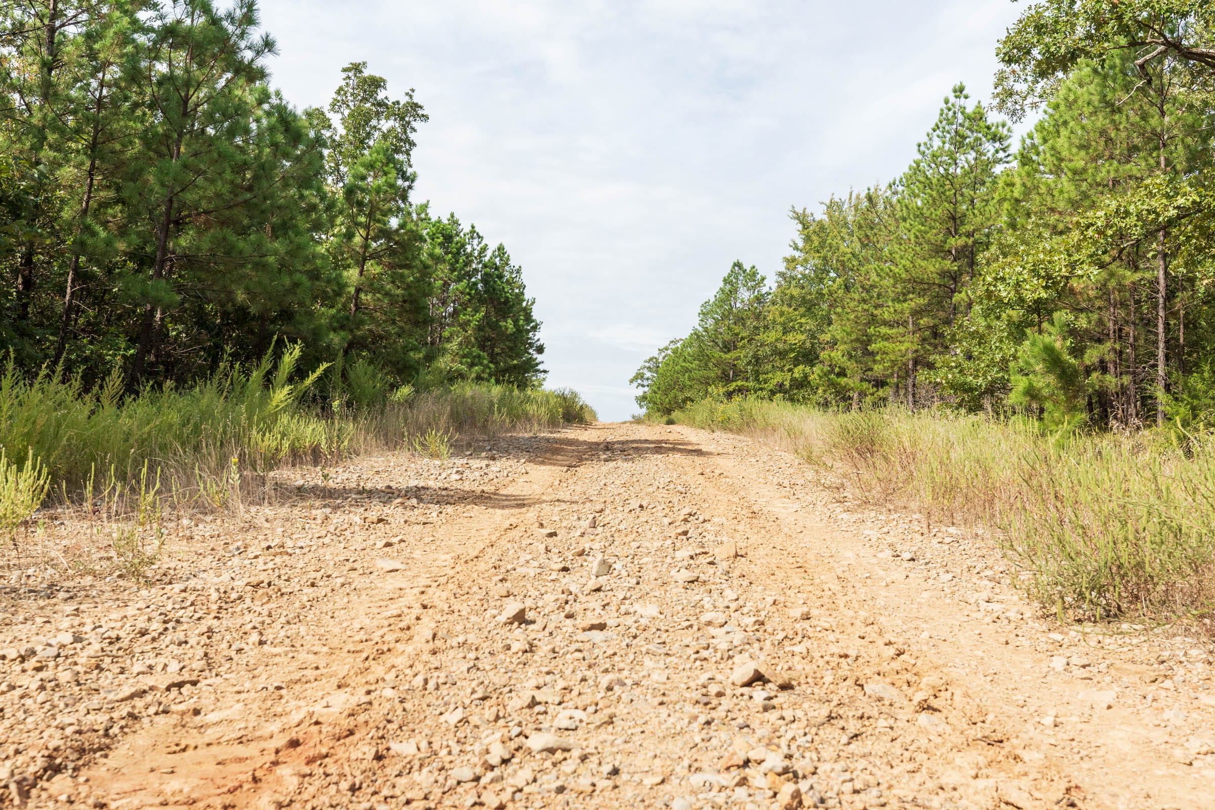 Stone Bridge Phase V Tract 387 photo 8