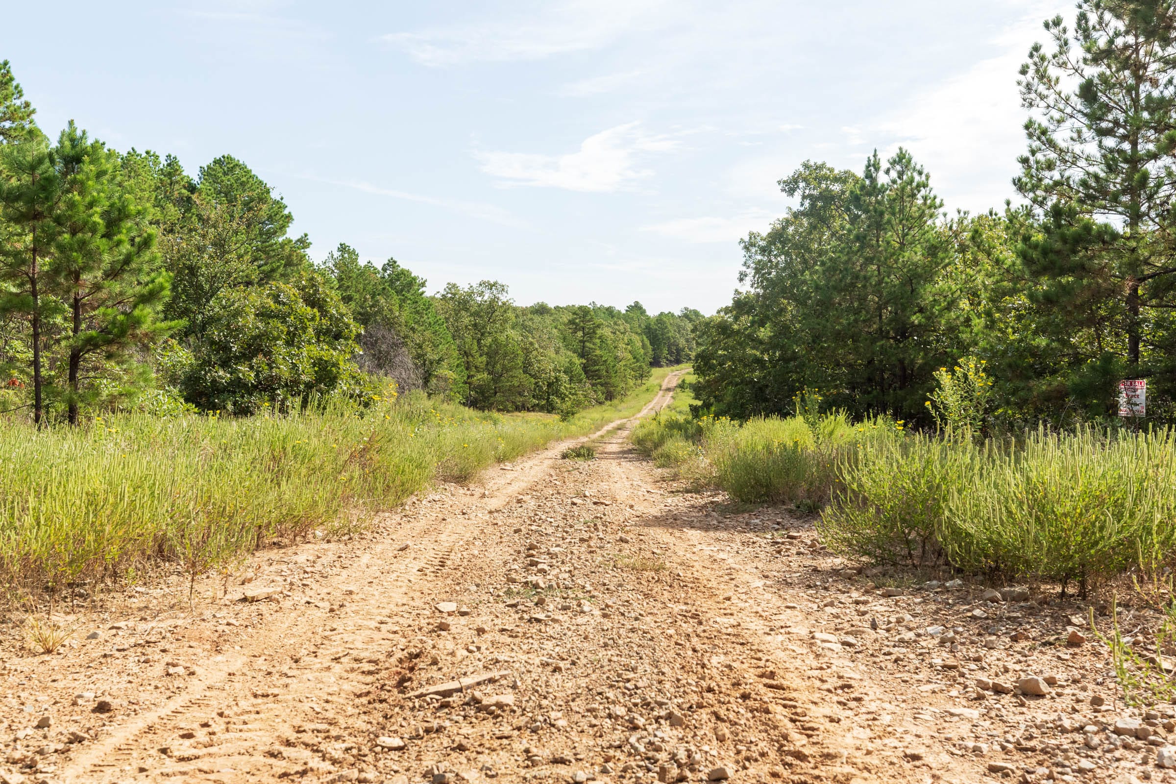 Stone Bridge Phase V Tract 387 photo 11