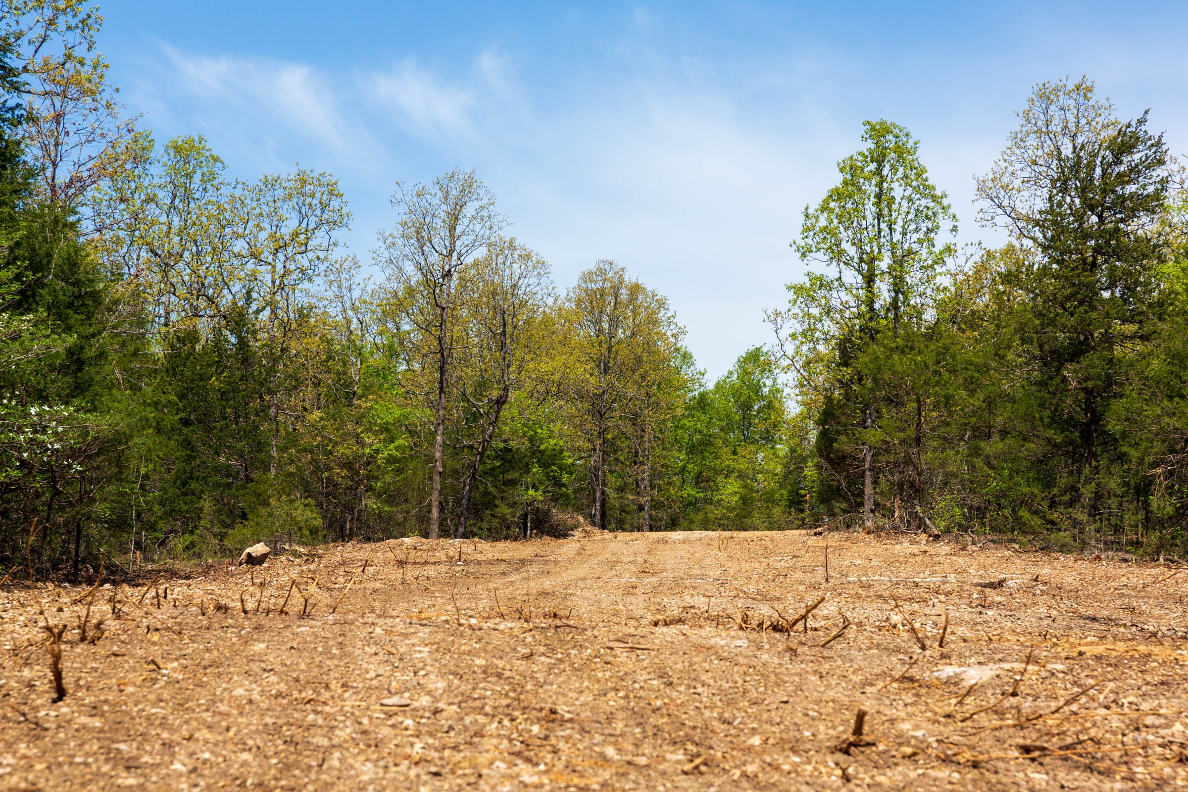 Autumnwood Tract 3 photo 1