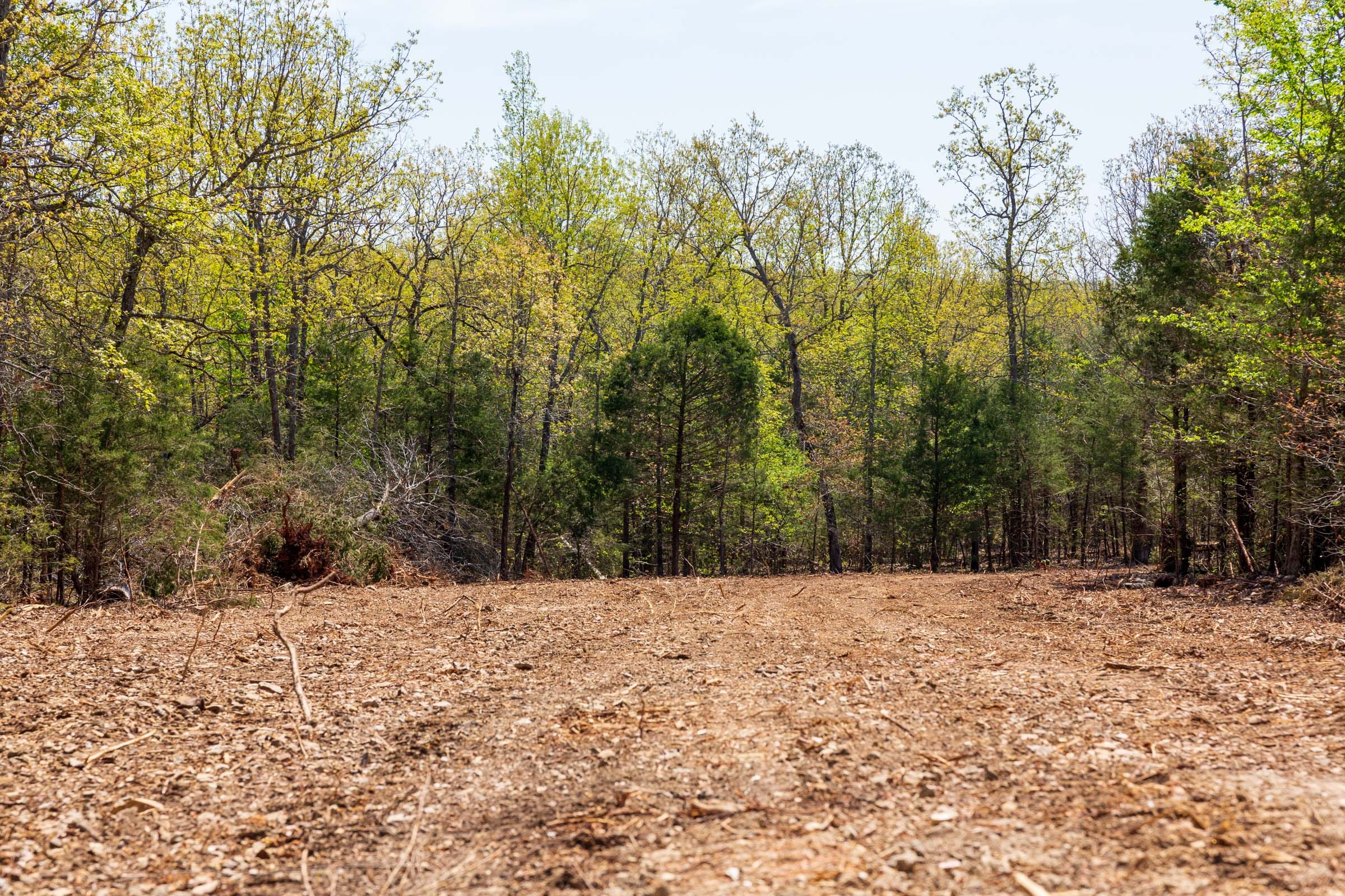 Autumnwood Tract 3 photo 8
