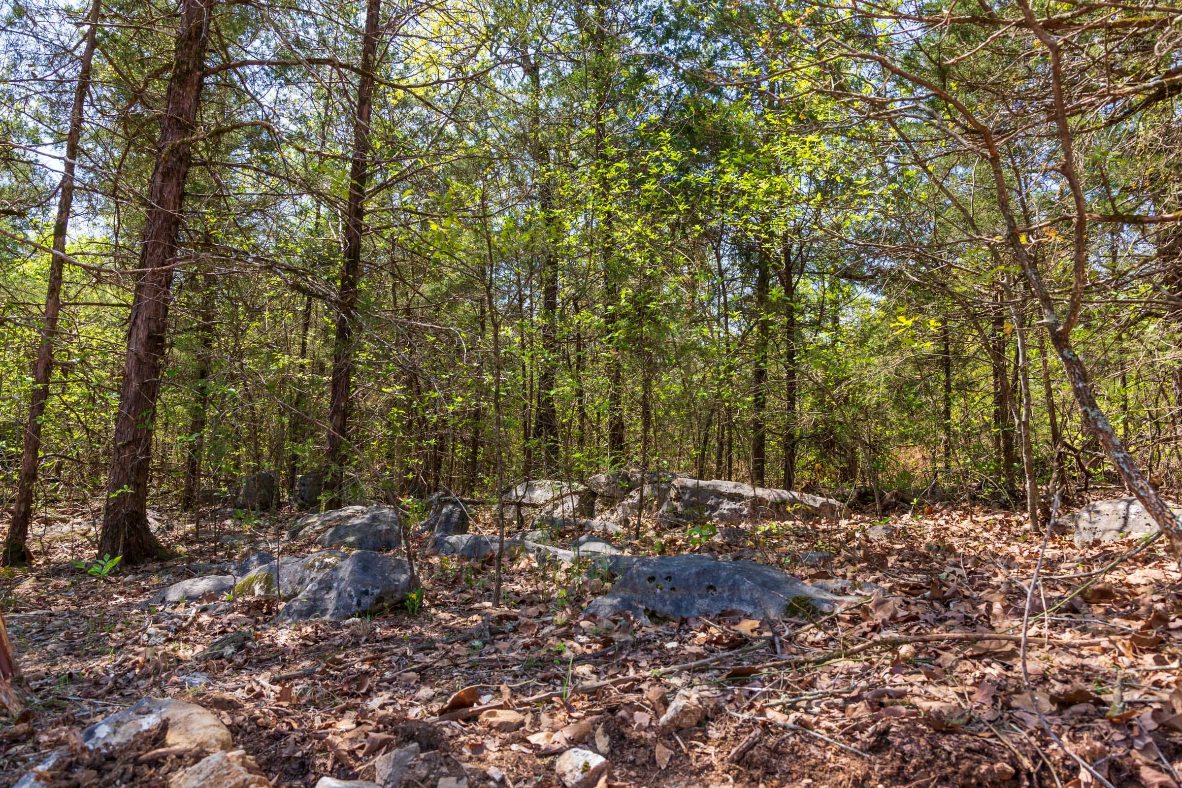 Autumnwood Tract 3 photo 10