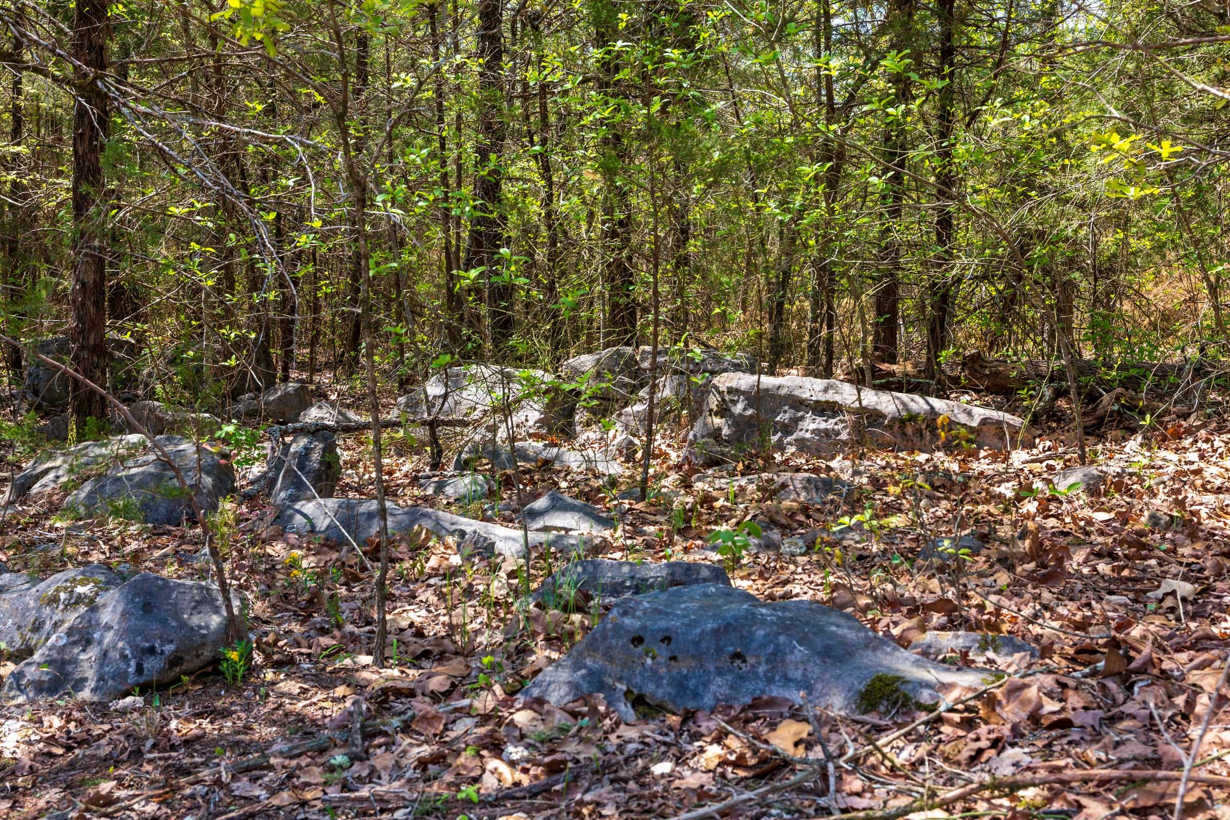 Autumnwood Tract 3 photo 15