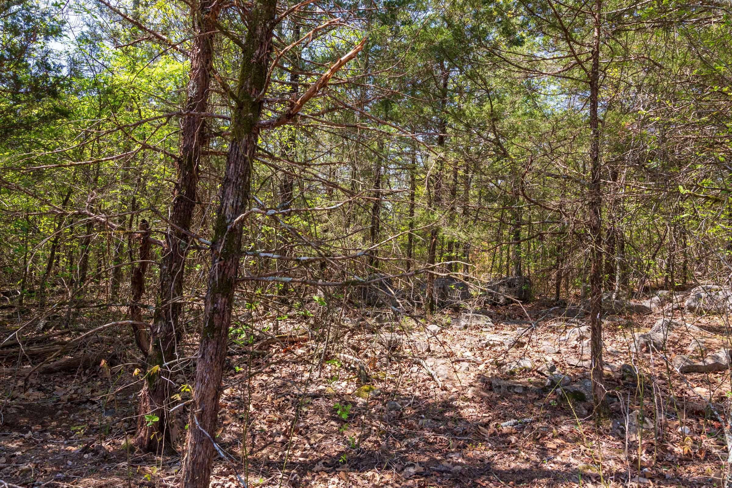 Autumnwood Tract 3 photo 12