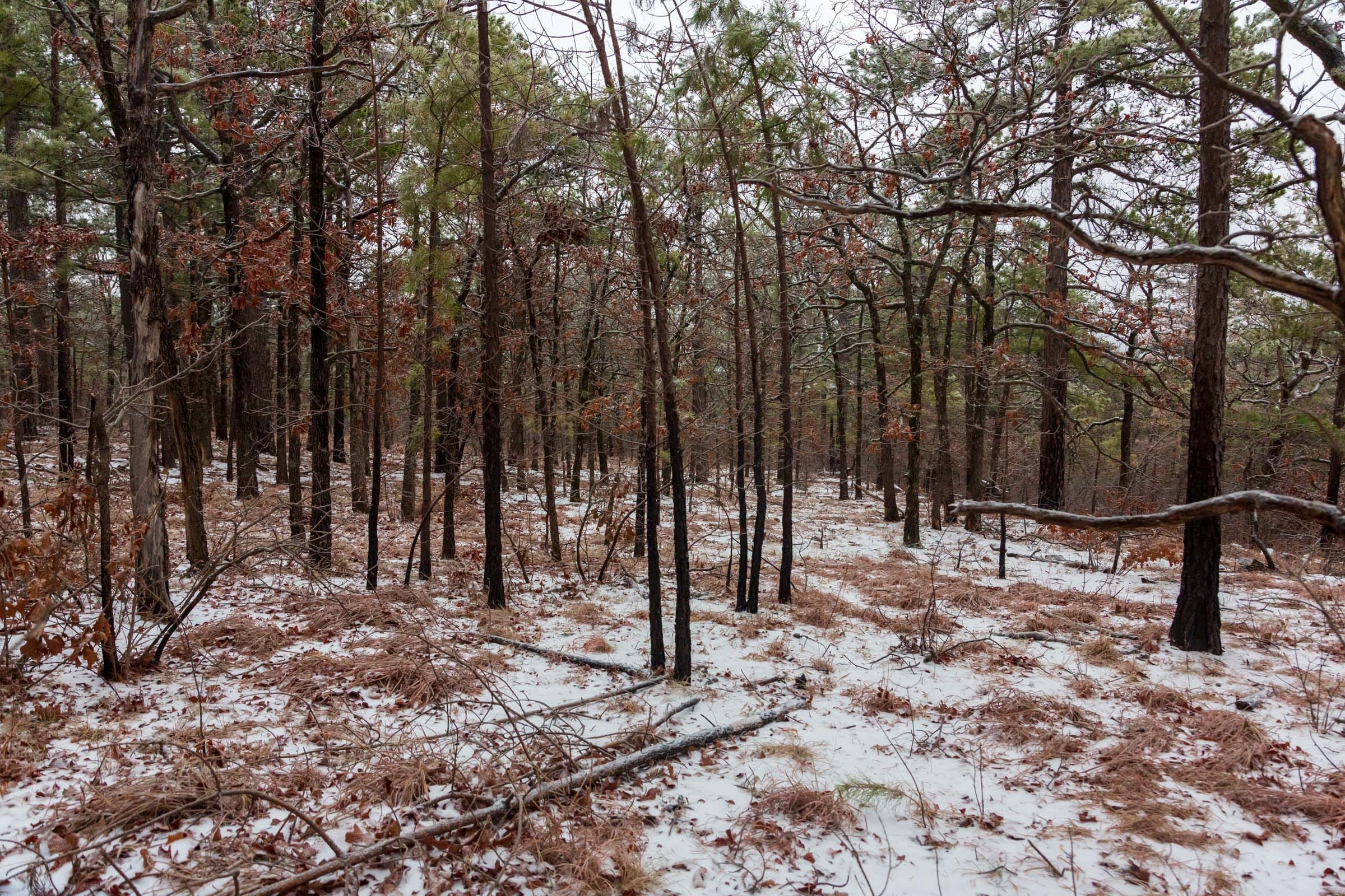 Stone Bridge Phase IV Tract 294 photo 15