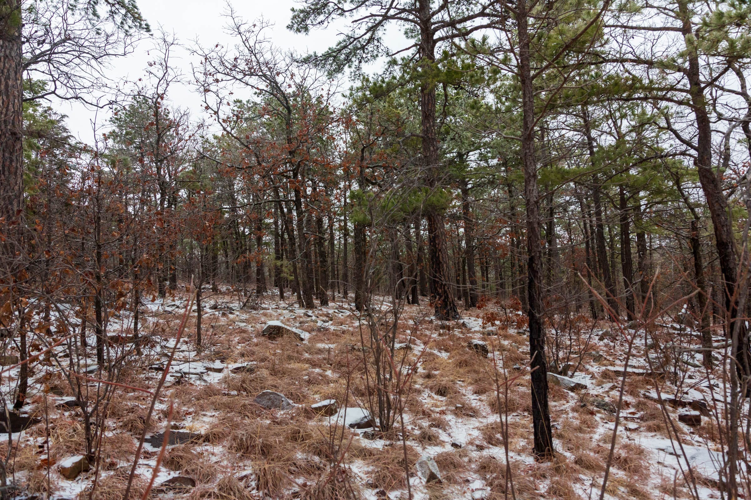 Stone Bridge Phase IV Tract 294 photo 18