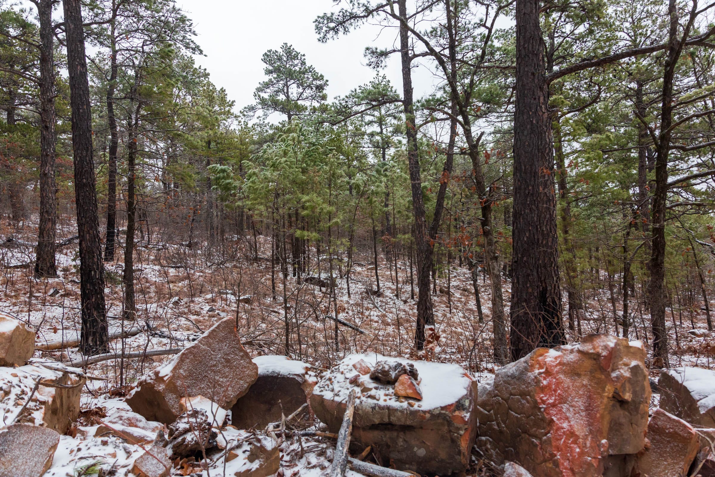 Stone Bridge Phase IV Tract 294 photo 19