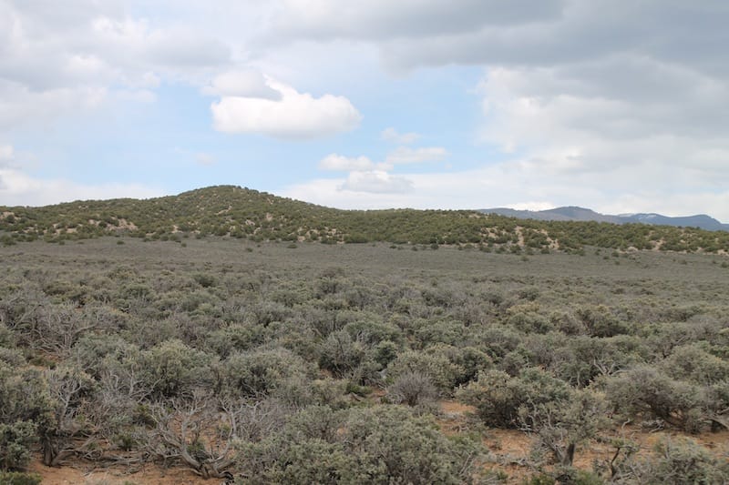 Eagle Ridge Ranch Tract 75 photo 4
