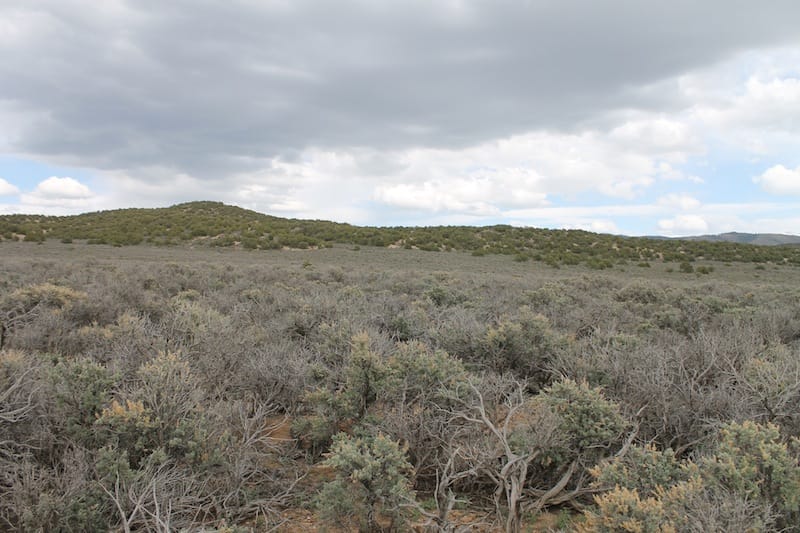 Eagle Ridge Ranch Tract 75 photo 5