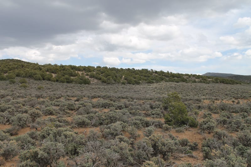 Eagle Ridge Ranch Tract 75 photo 6