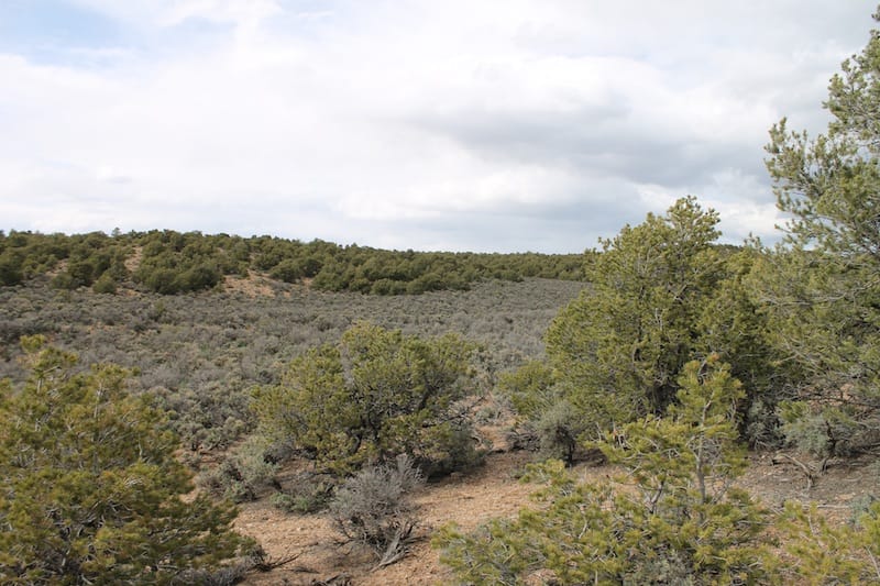 Eagle Ridge Ranch Tract 75 photo 9