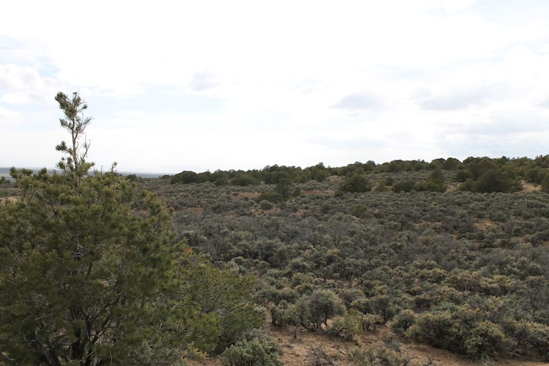 Eagle Ridge Ranch Tract 75 photo 10