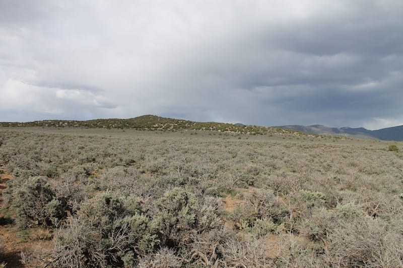 Eagle Ridge Ranch Tract 75 photo 12