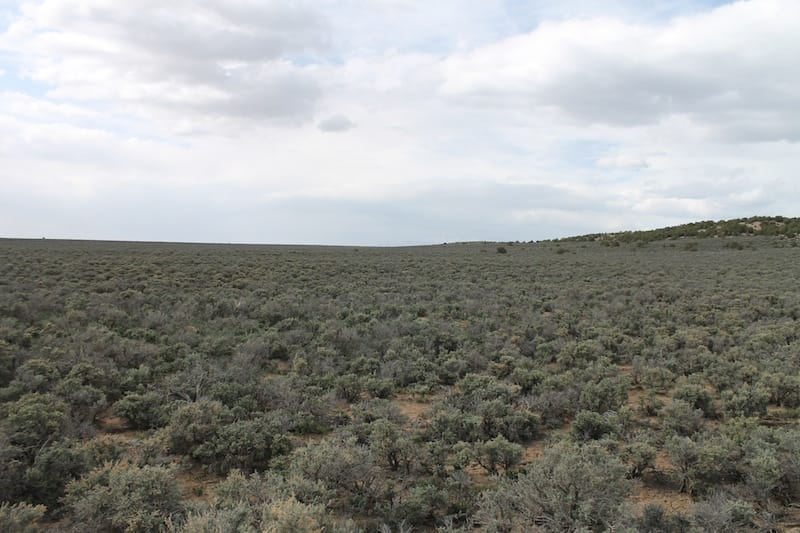 Eagle Ridge Ranch Tract 75 photo 15