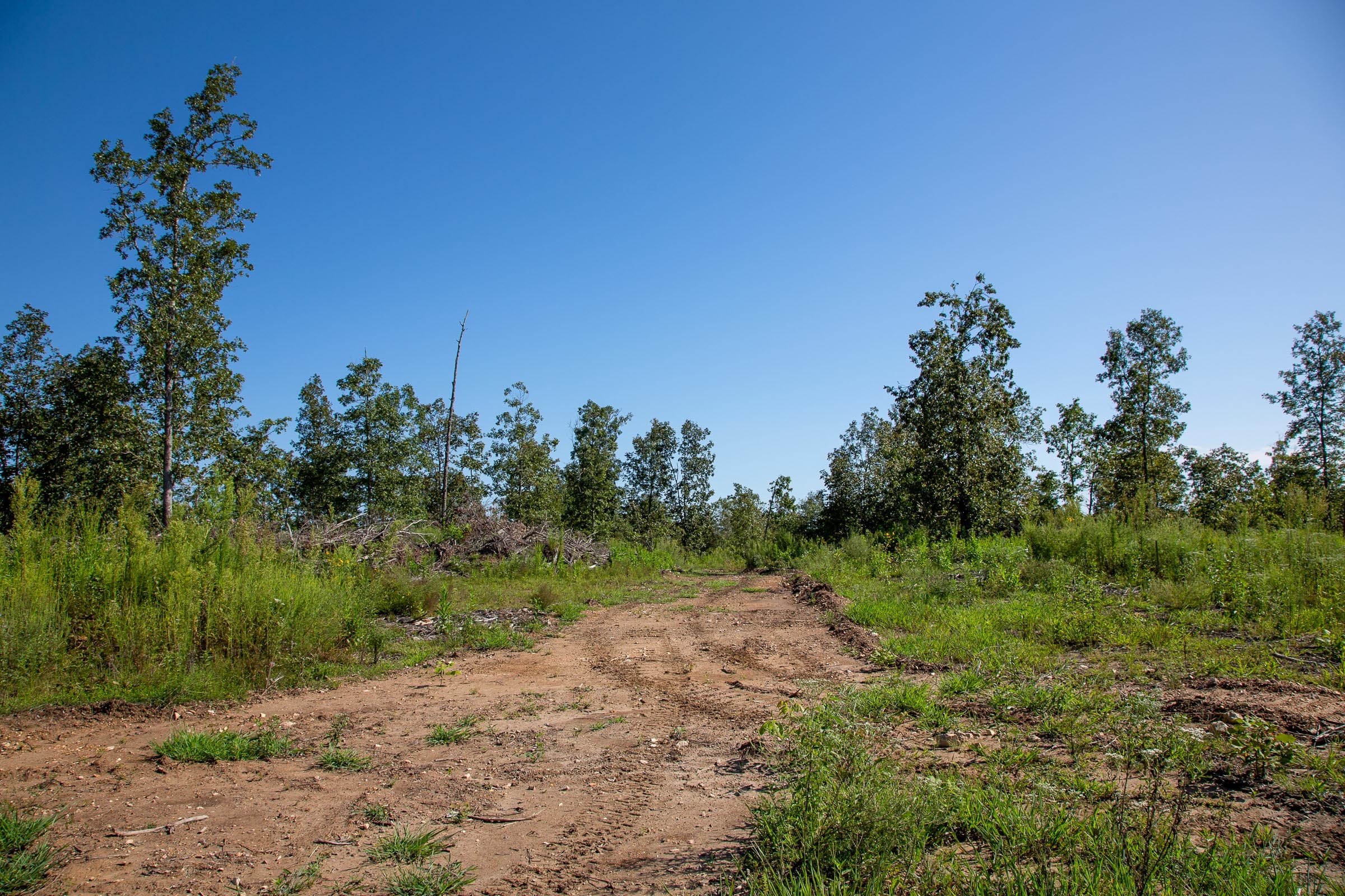 Borgmann’s Hollow Phase II Tract 48 photo 3