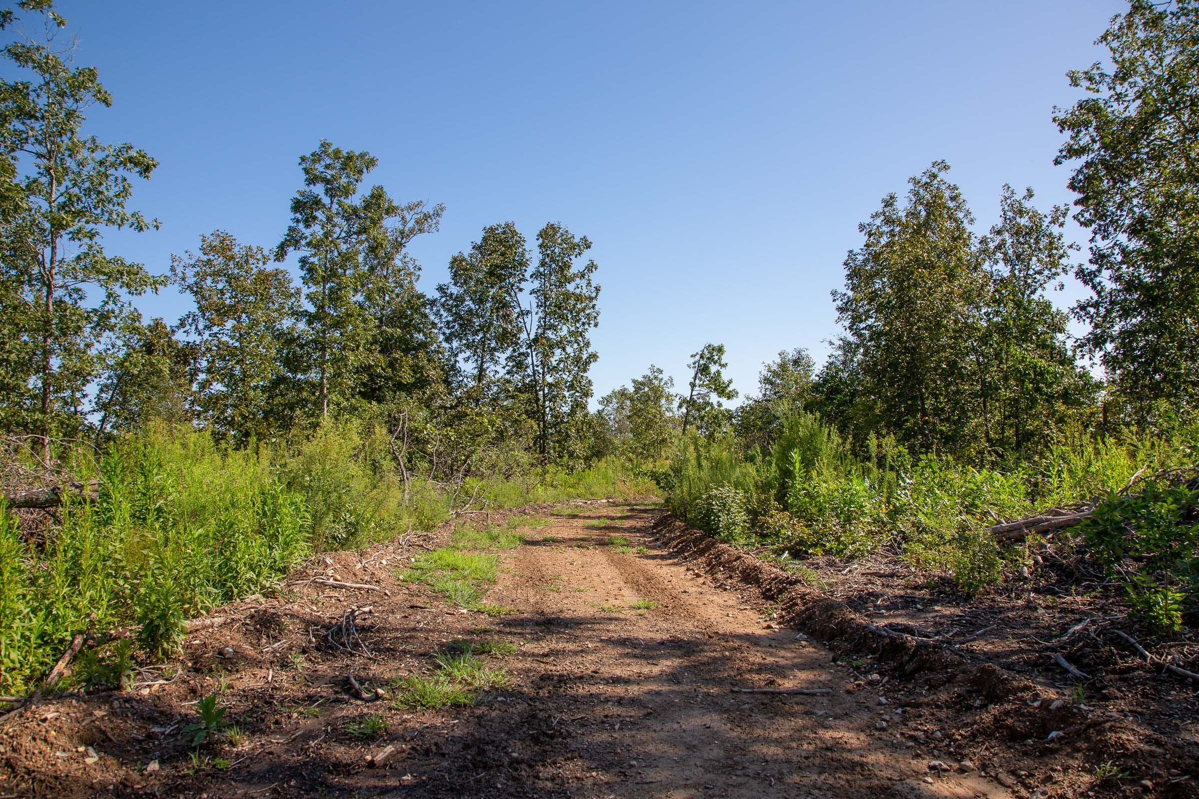 Borgmann’s Hollow Phase II Tract 48 photo 9