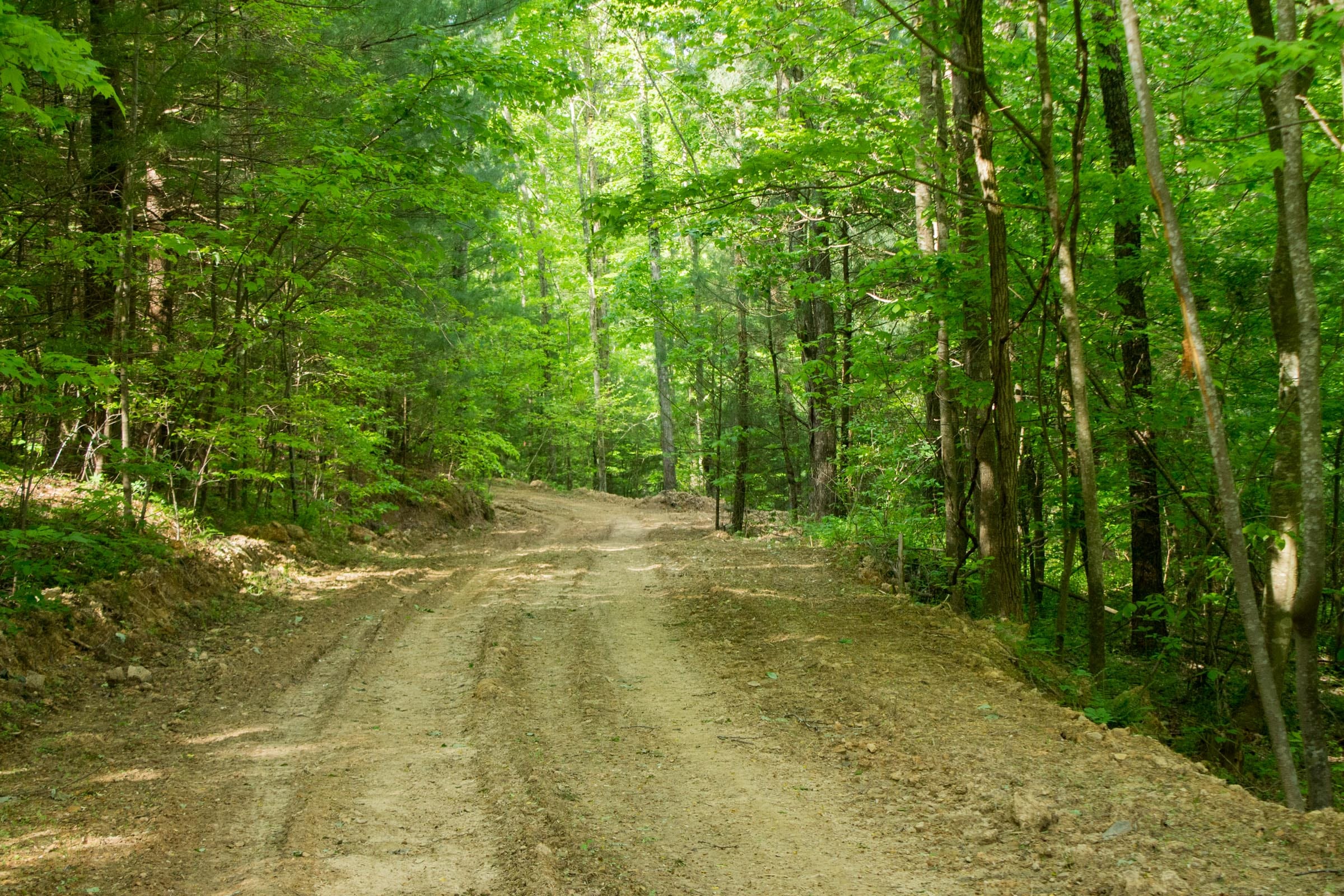 Trails End Tract 5 photo 10