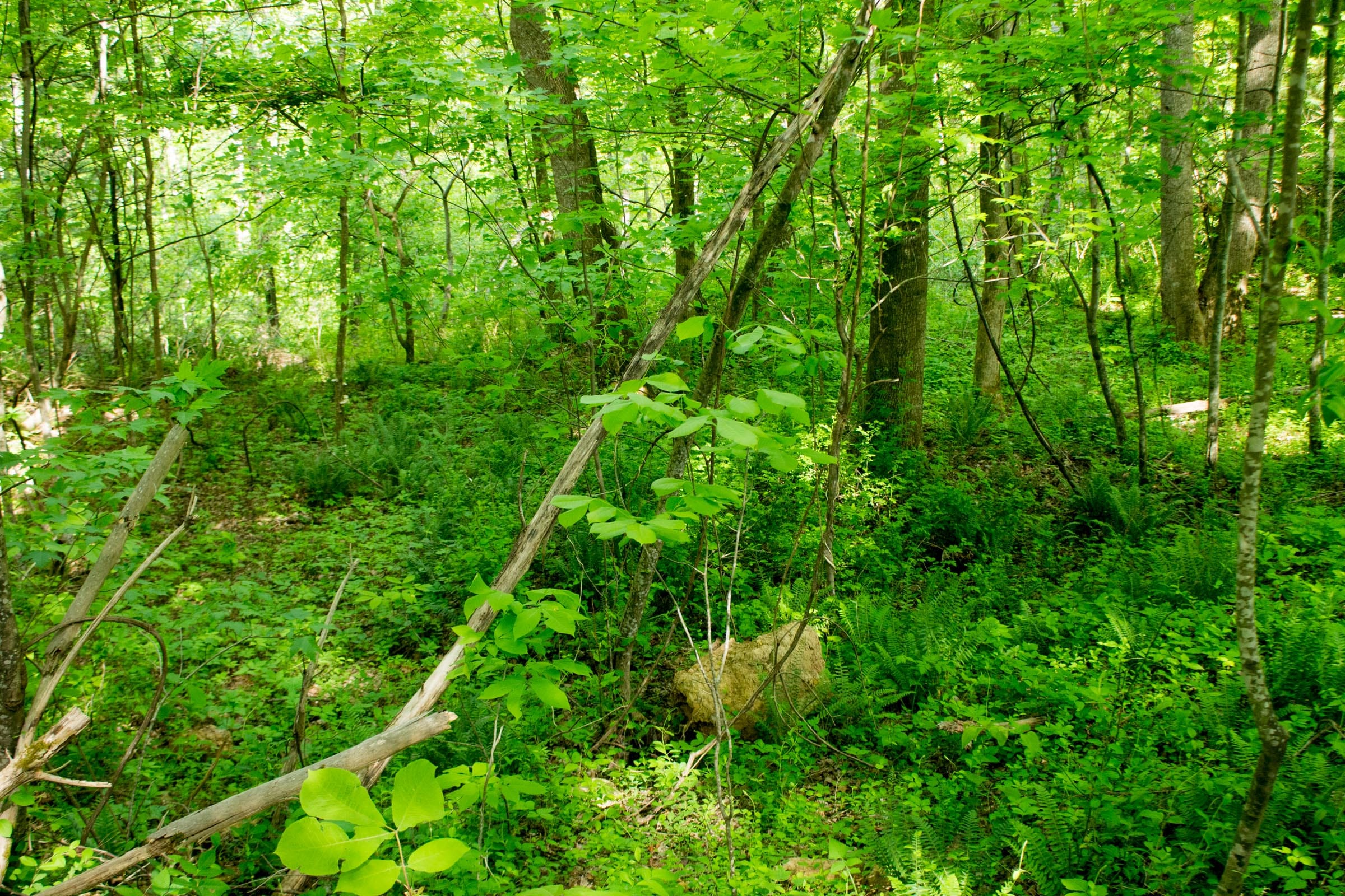 Trails End Tract 5 photo 11