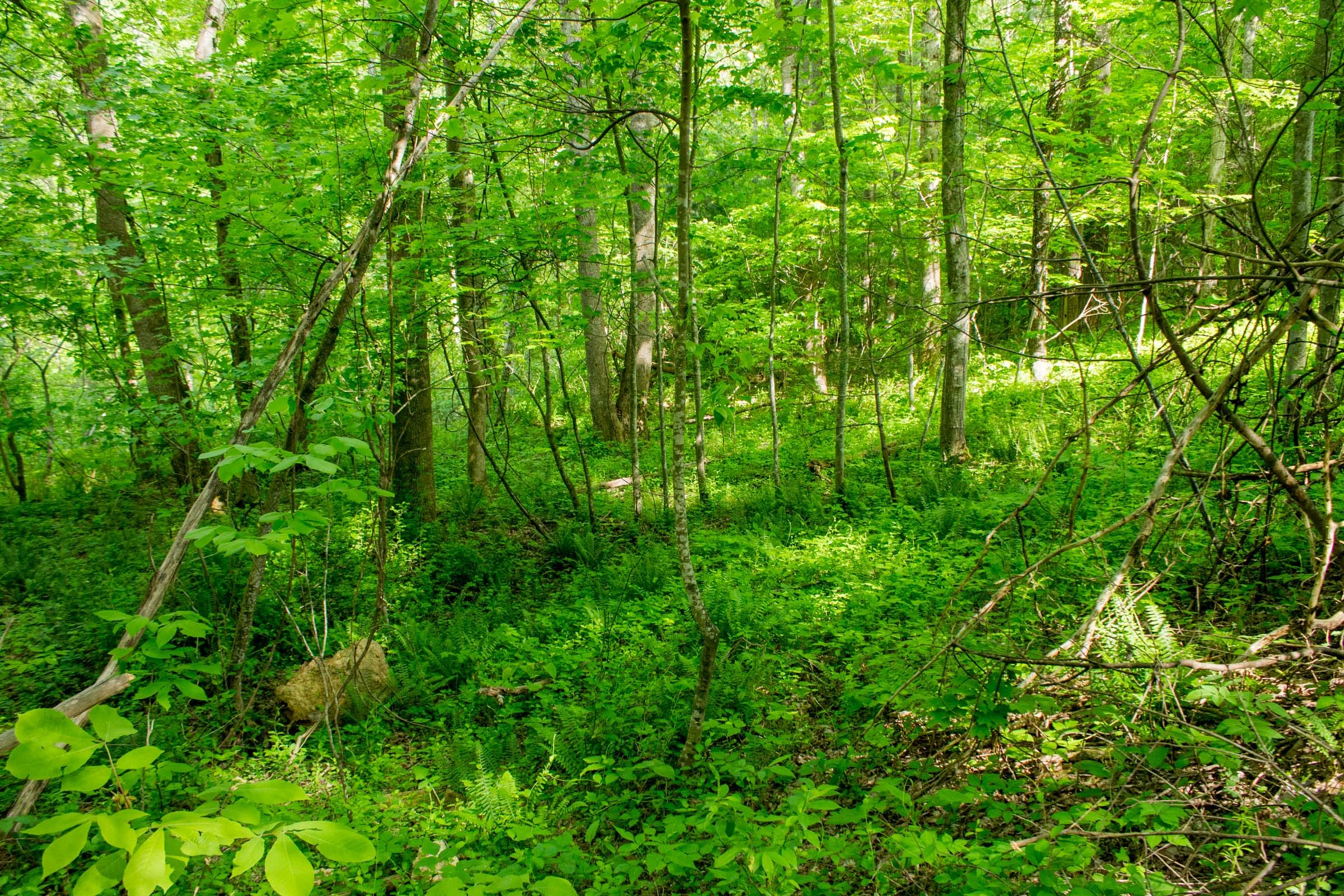 Trails End Tract 5 photo 12