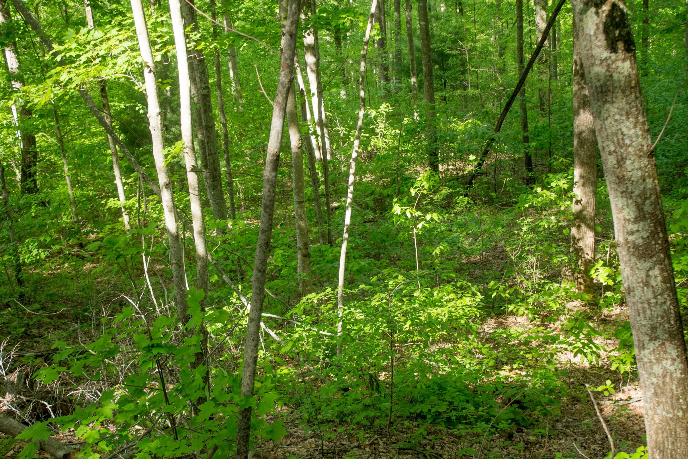 Trails End Tract 5 photo 1