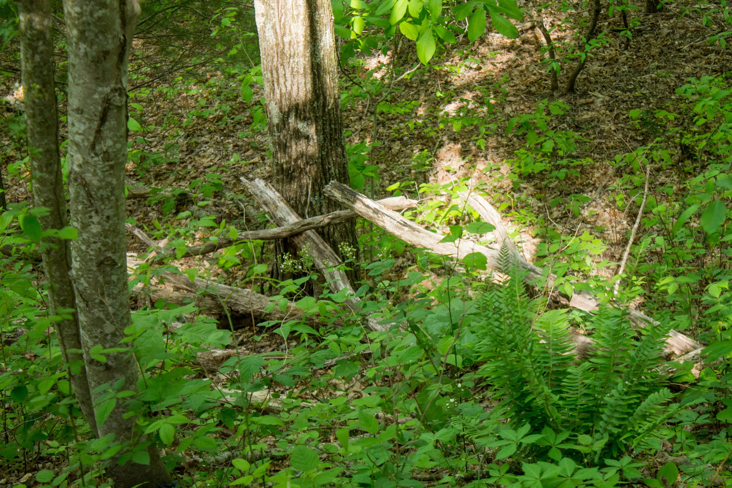 Trails End Tract 5 photo 17