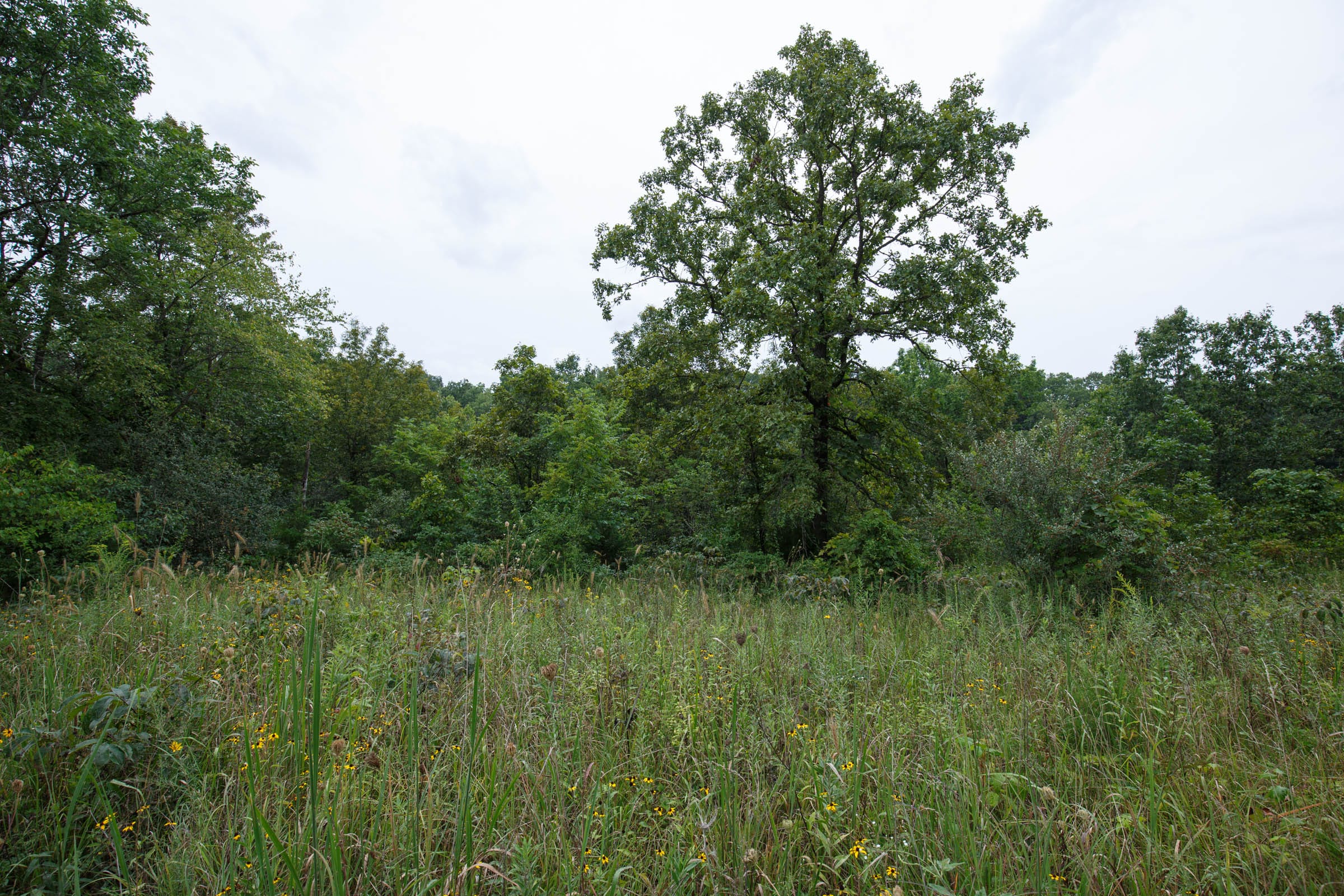 Spring Lake Plat 5 Tract 174 photo 2