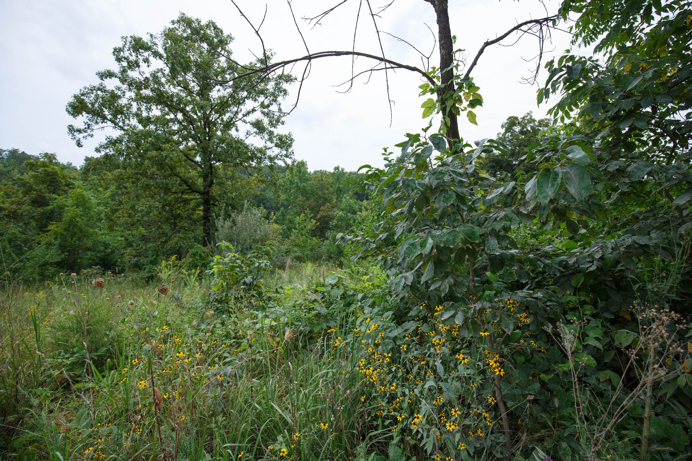 Spring Lake Plat 5 Tract 174 photo 3
