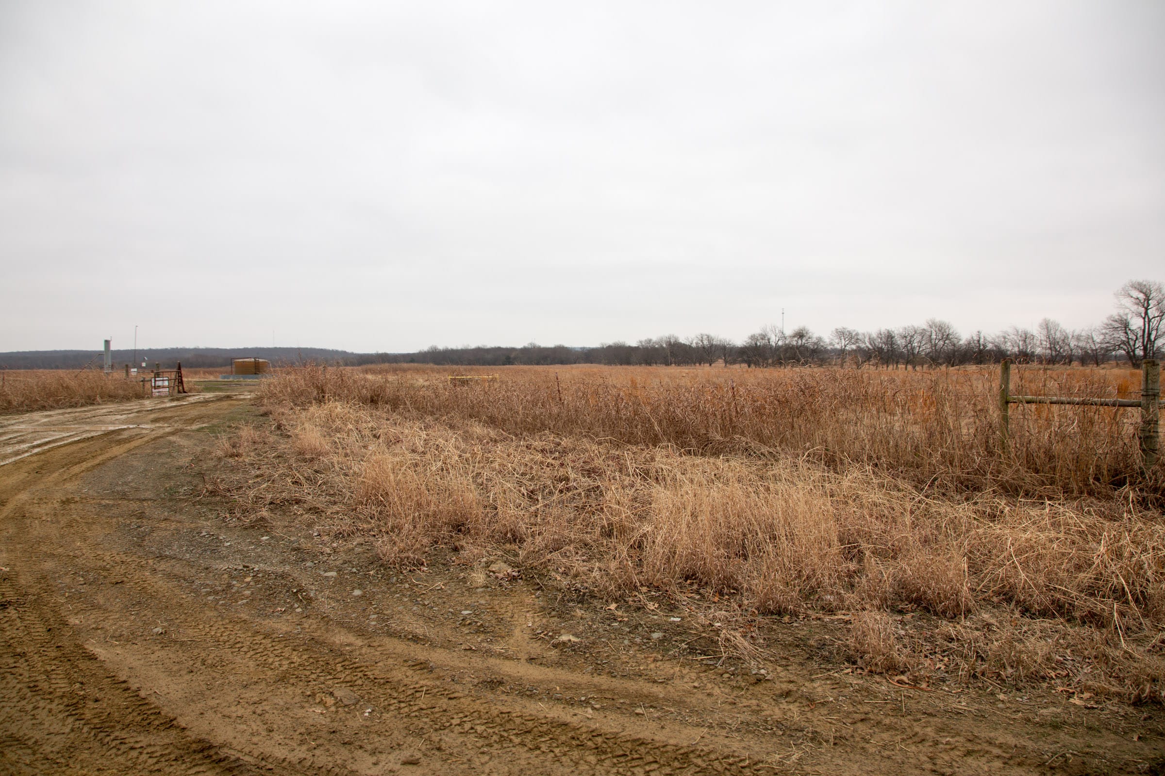 Canadian Plains Tract 21 photo 4