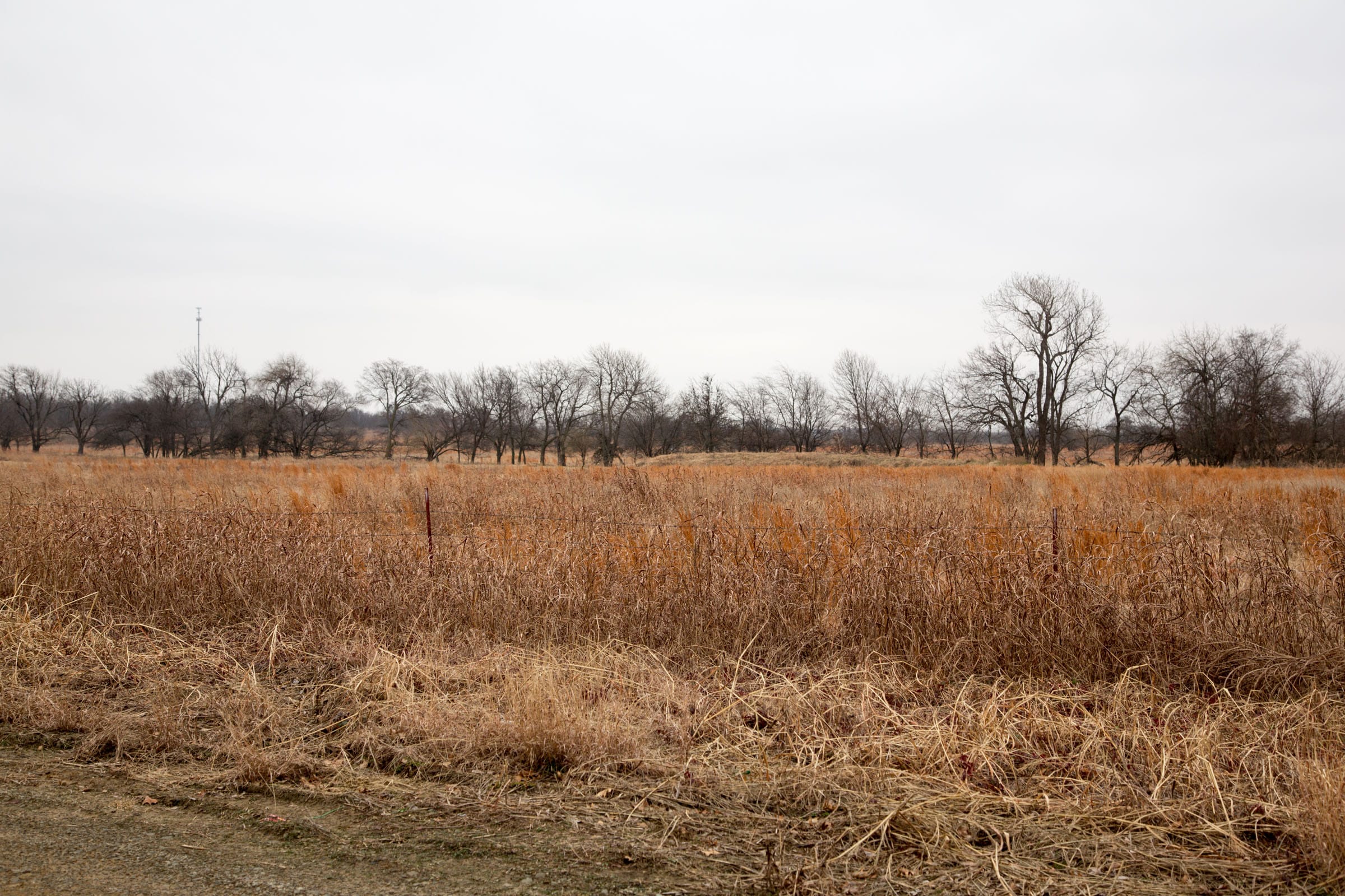 Canadian Plains Tract 21 photo 5