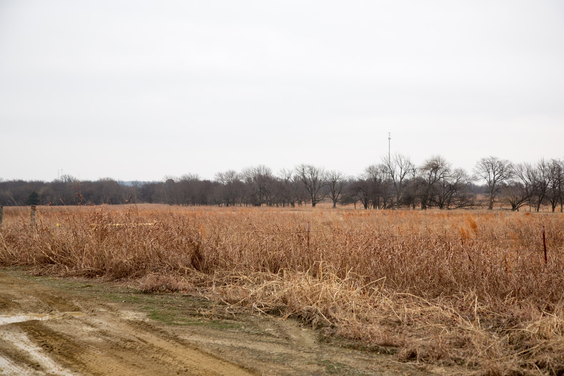 Canadian Plains Tract 21 photo 6