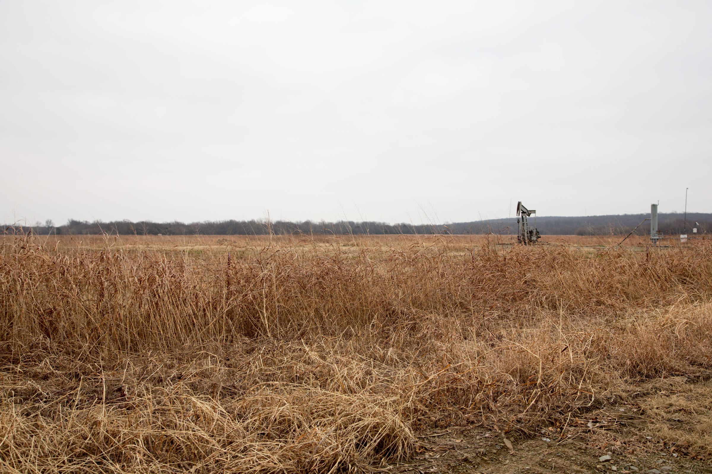 Canadian Plains Tract 21 photo 8