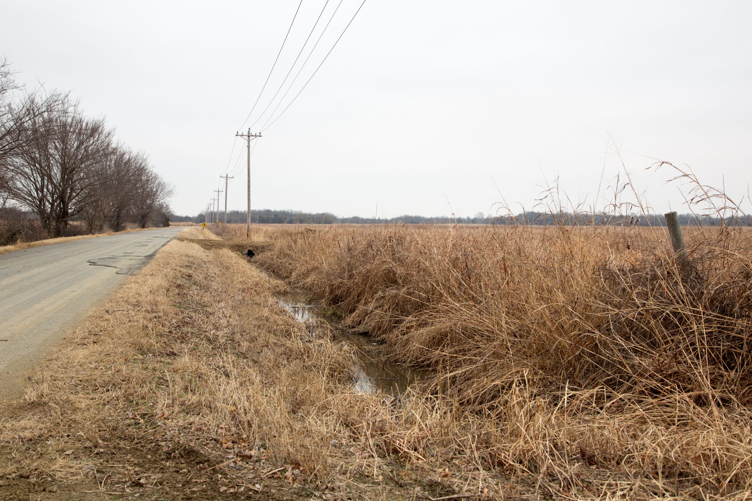 Canadian Plains Tract 21 photo 9