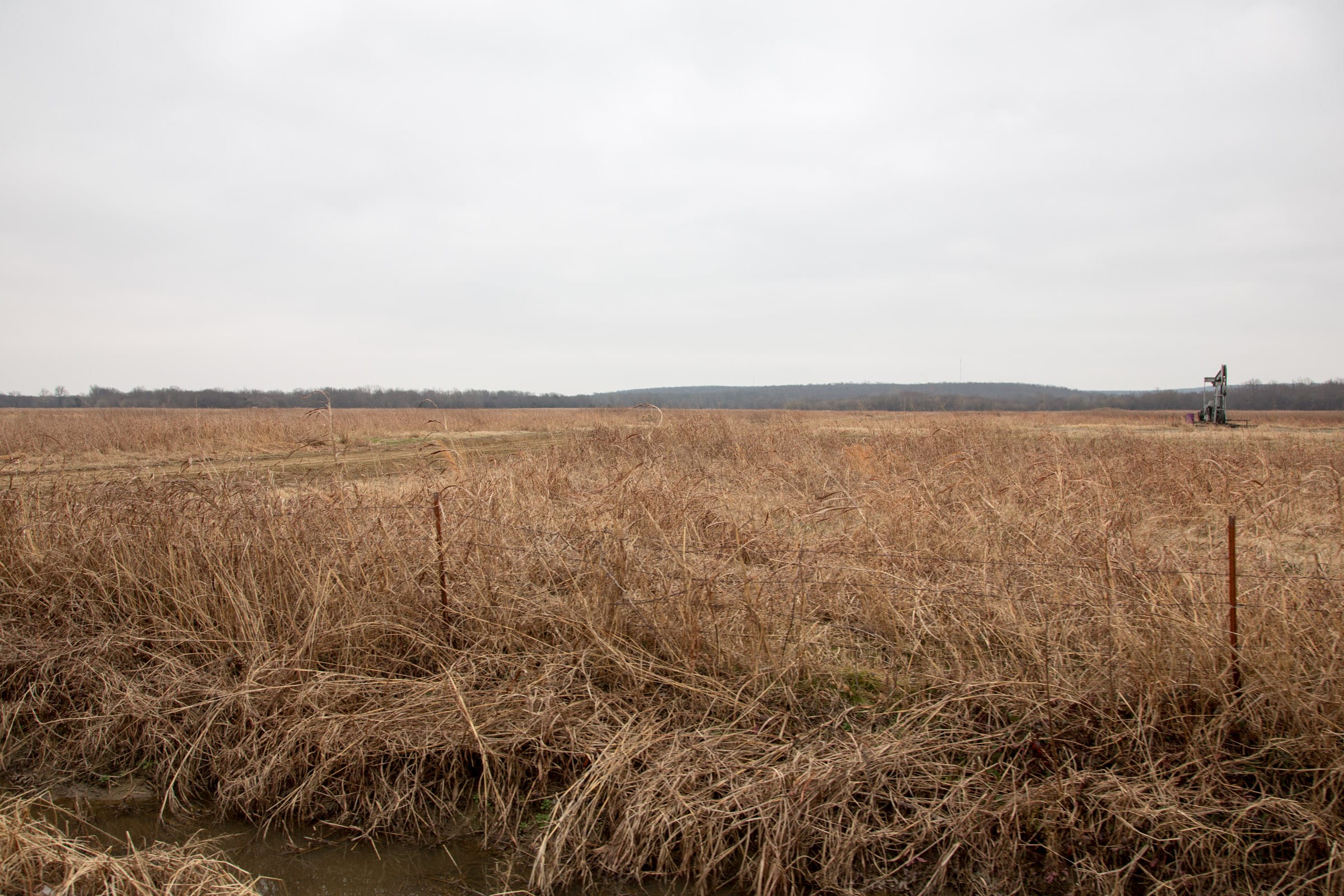 Canadian Plains Tract 21 photo 11