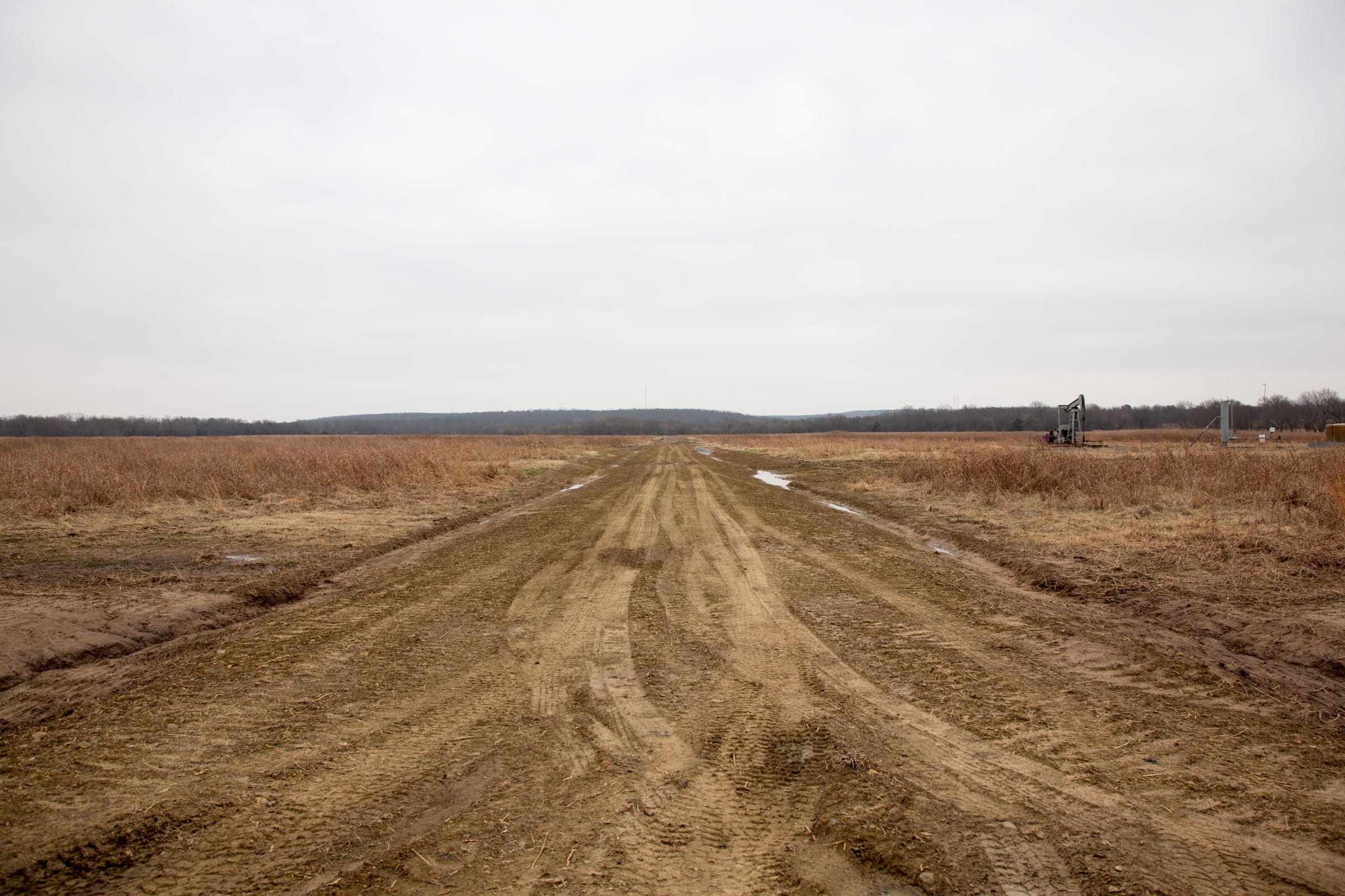 Canadian Plains Tract 21 photo 7