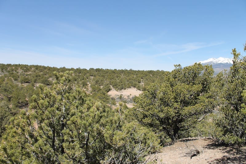 Sangre De Cristo Ranches Tract 3972 photo 7