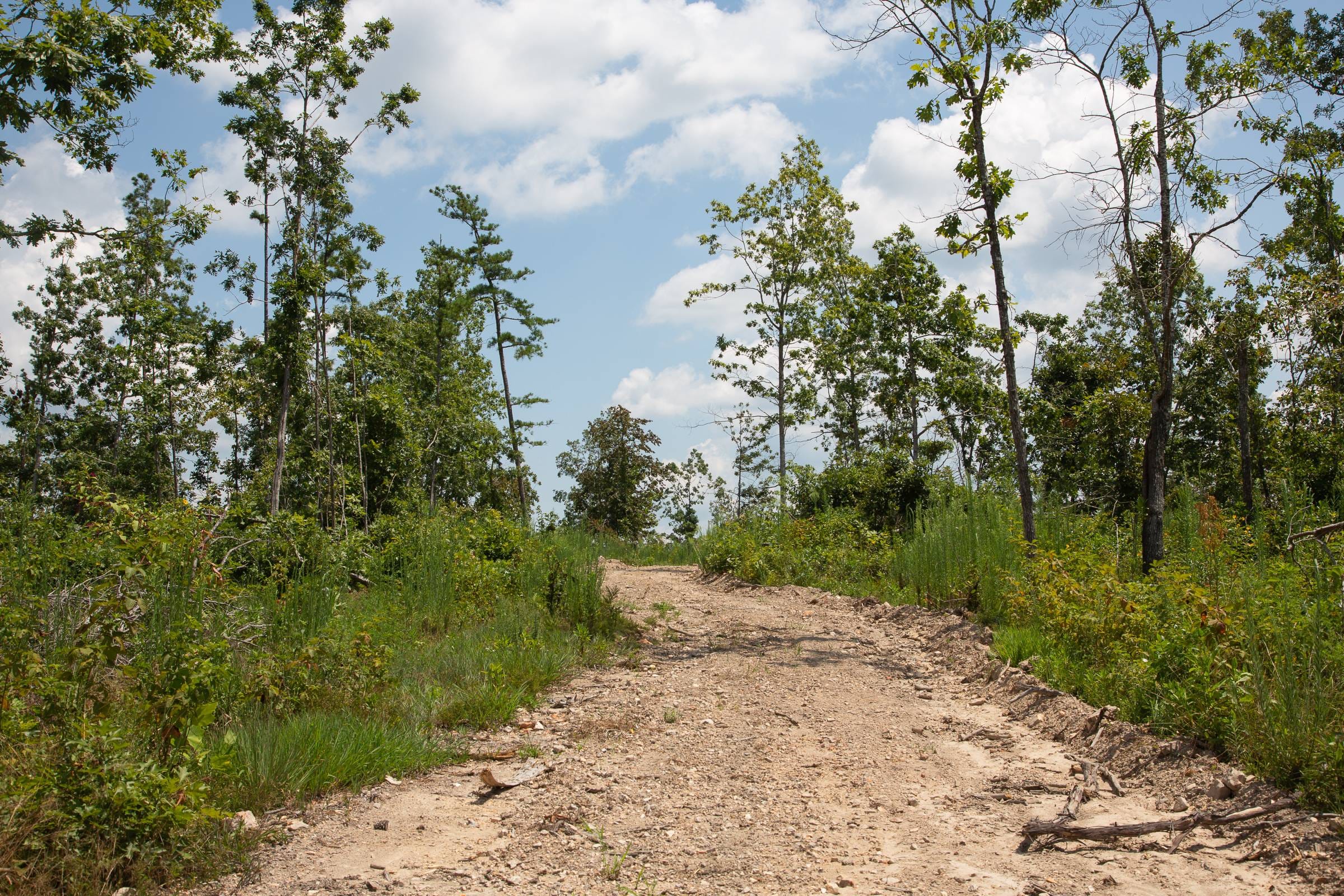 Borgmann’s Hollow Phase I Tract 12 photo 6