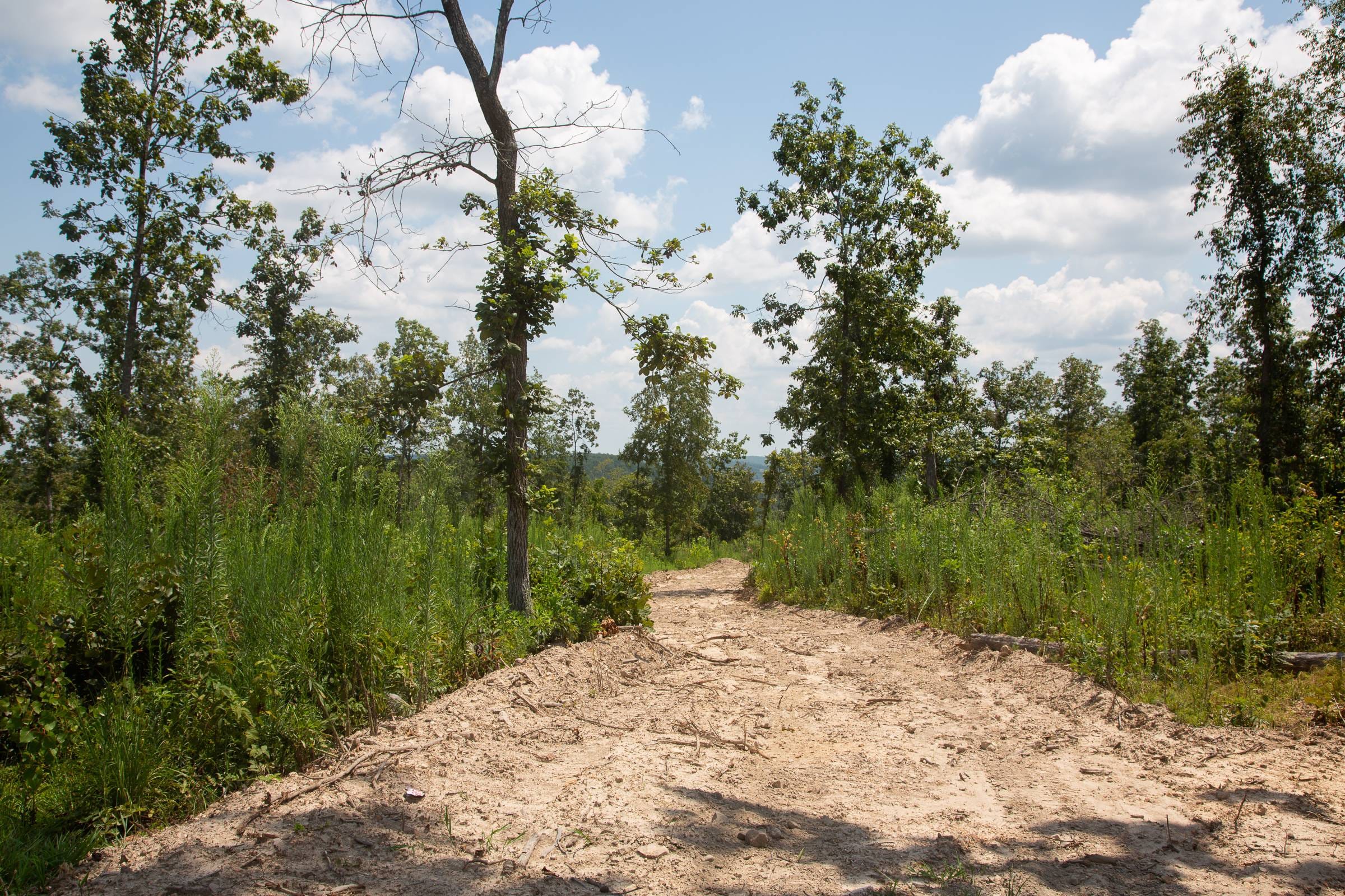 Borgmann’s Hollow Phase I Tract 12 photo 12