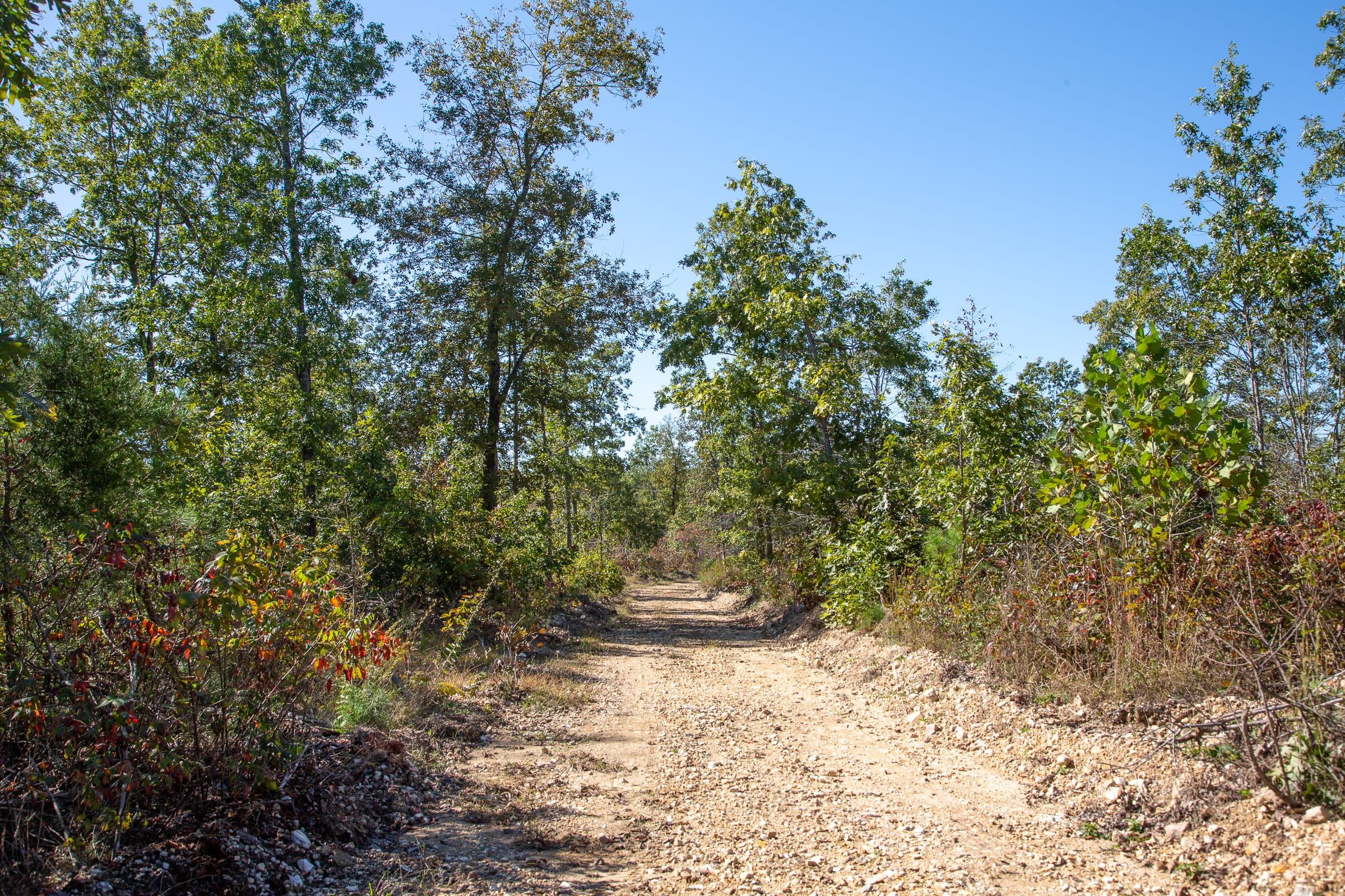 Borgmann’s Hollow Phase IV Tract 103 photo 2