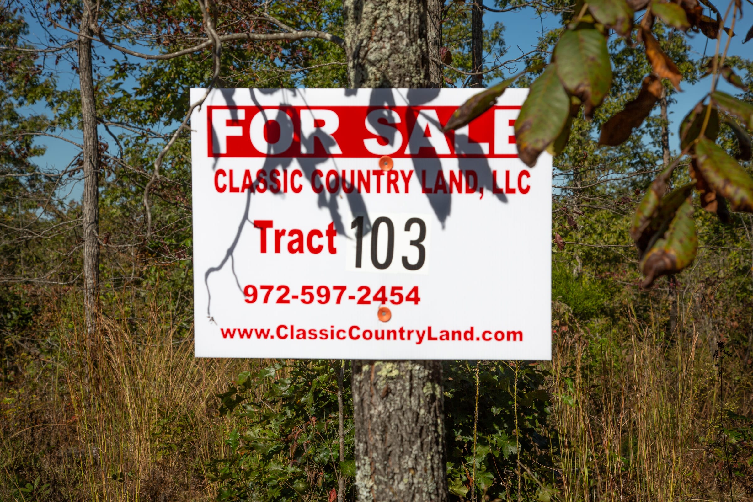 Borgmann’s Hollow Phase IV Tract 103 photo 1