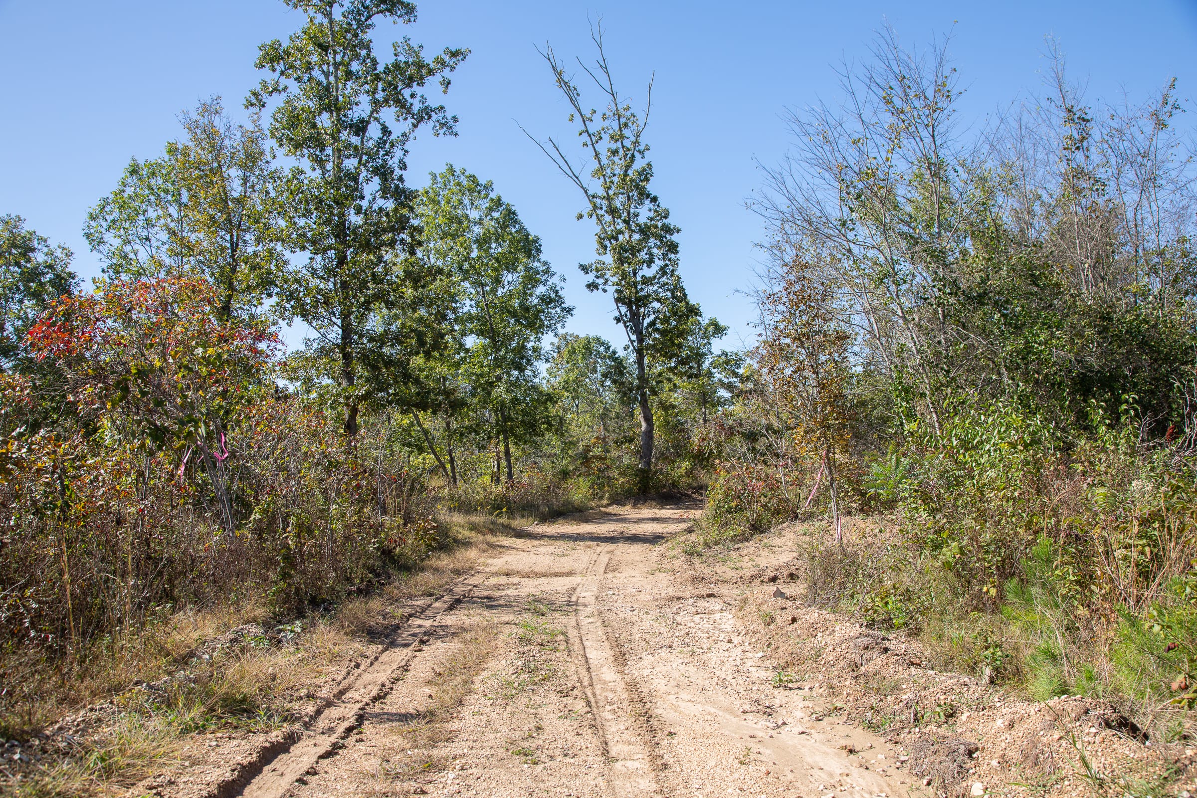 Borgmann’s Hollow Phase IV Tract 103 photo 6