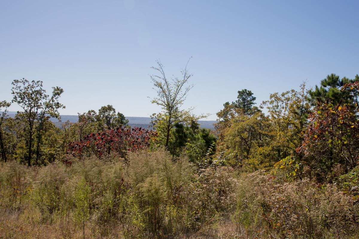 Stone Creek Phase I Tract 177 photo 1