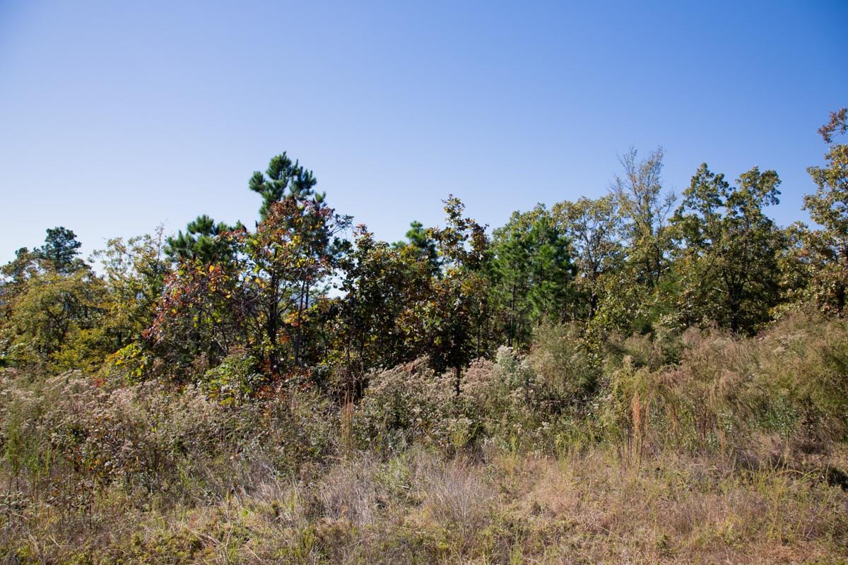 Stone Creek Phase I Tract 177 photo 2