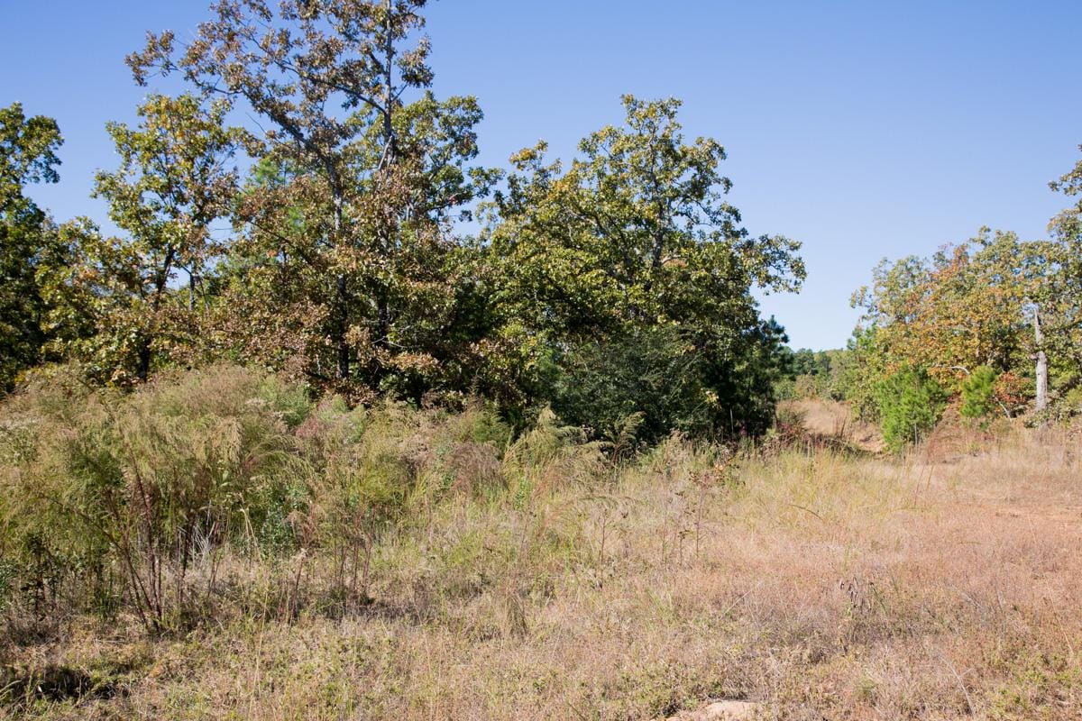Stone Creek Phase I Tract 177 photo 3