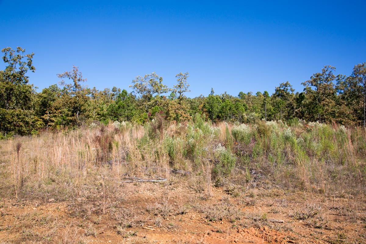 Stone Creek Phase I Tract 177 photo 4