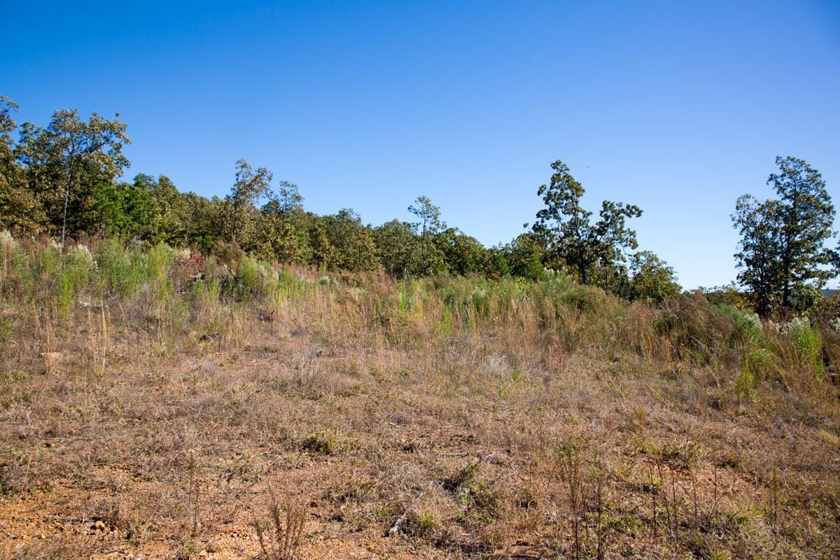 Stone Creek Phase I Tract 177 photo 5