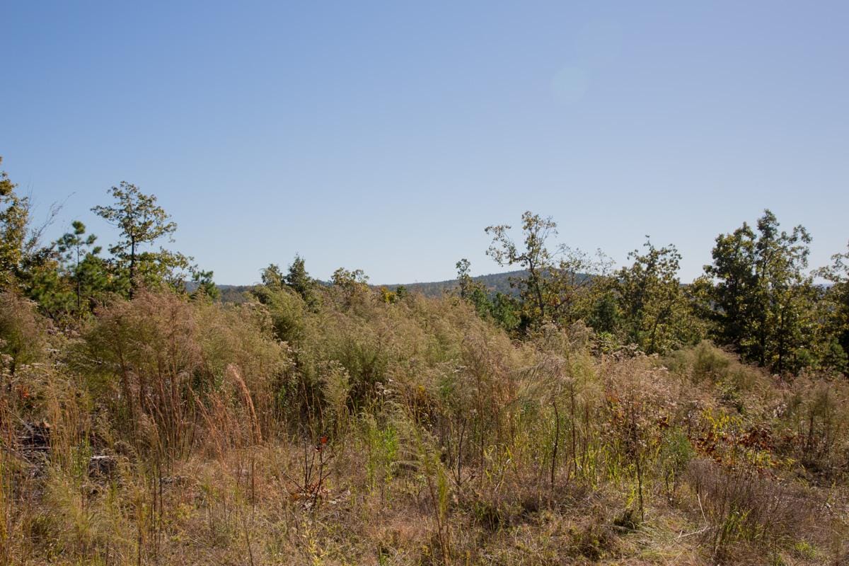 Stone Creek Phase I Tract 177 photo 6