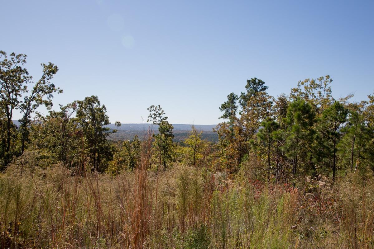 Stone Creek Phase I Tract 177 photo 8