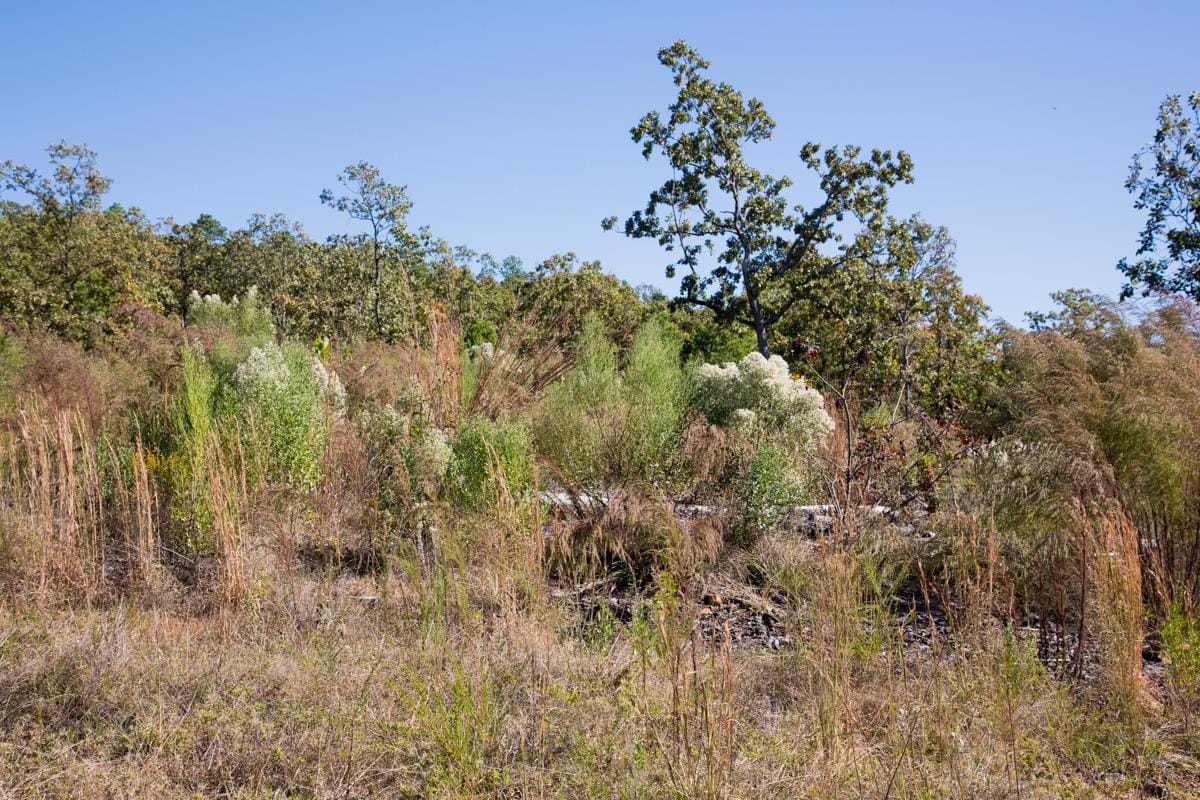 Stone Creek Phase I Tract 177 photo 10
