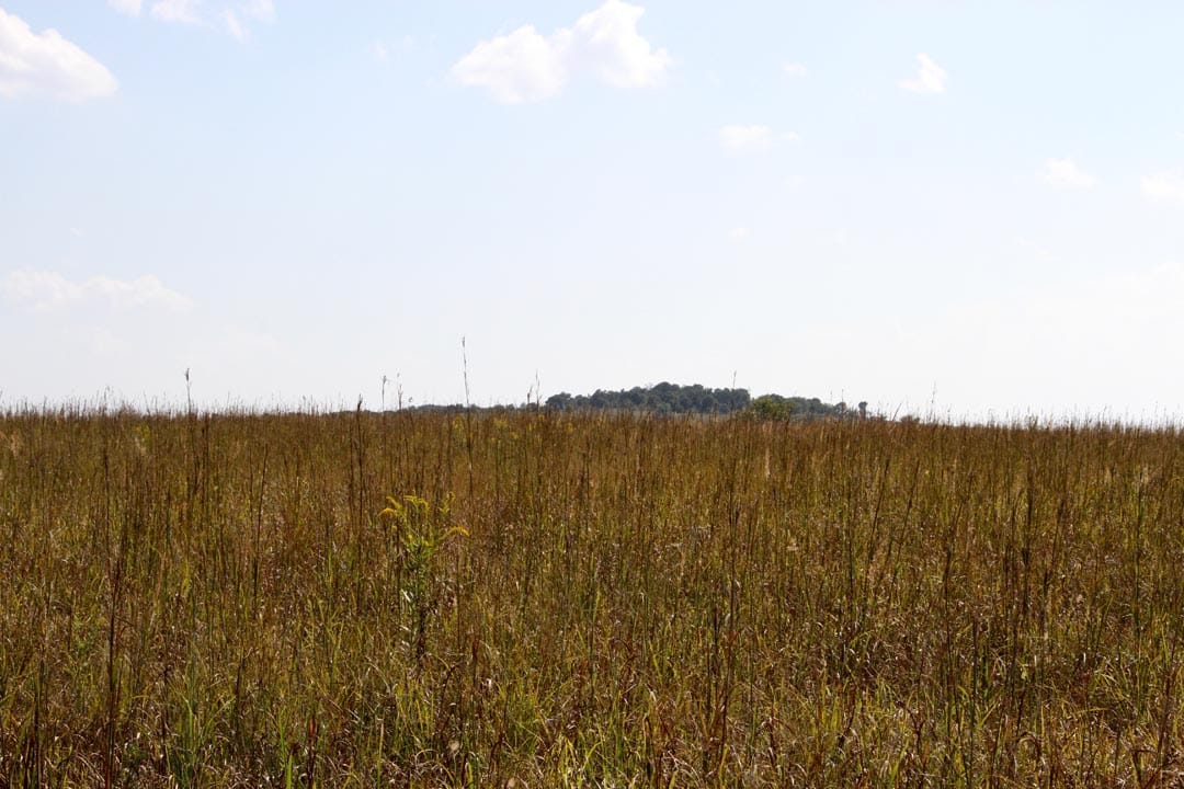 Cowboy Meadows Tract 2 photo 3