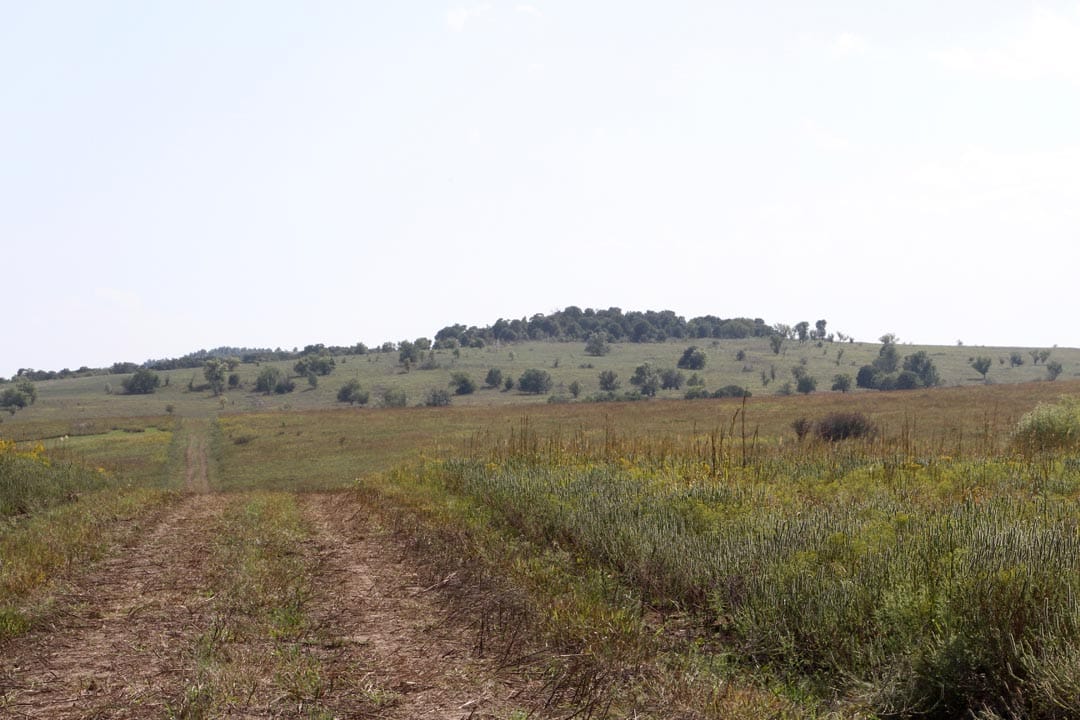 Cowboy Meadows Tract 2 photo 4